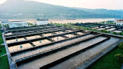 不用燒、不用填 生物處理技術(shù)出手，垃圾成資源