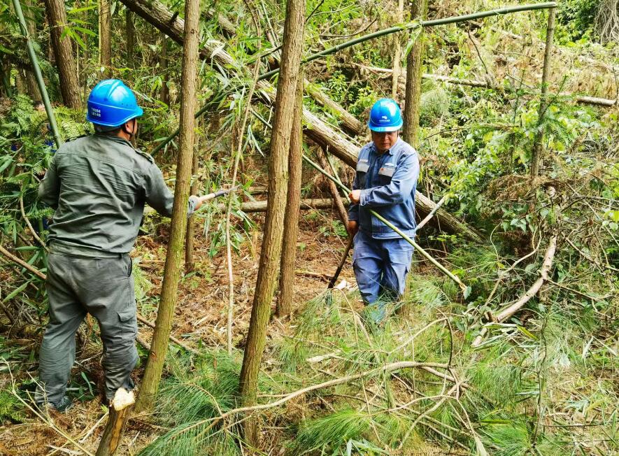 南方電網(wǎng)荔波供電局線路憂患如“猛獸”，通道清通要爭先