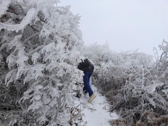 【新春走基層】迎雪而上攻堅行，奮戰(zhàn)不息護光明