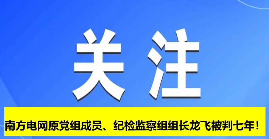 南方電網(wǎng)原黨組成員、紀(jì)檢監(jiān)察組組長龍飛被判