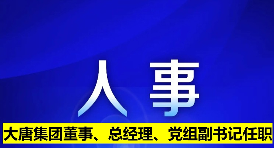 大唐集團董事、總經(jīng)理、黨組副書記任職
